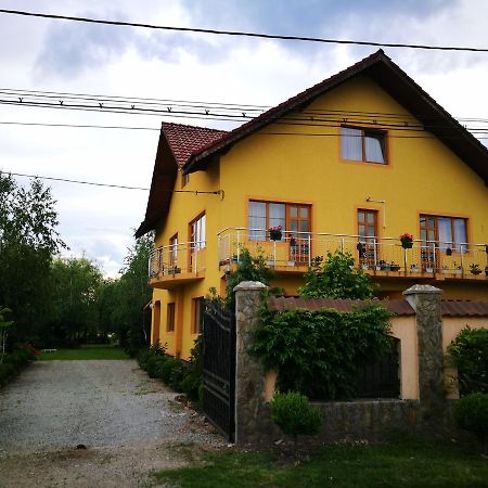 Pensiunea Ramona Cărpinişu Buitenkant foto