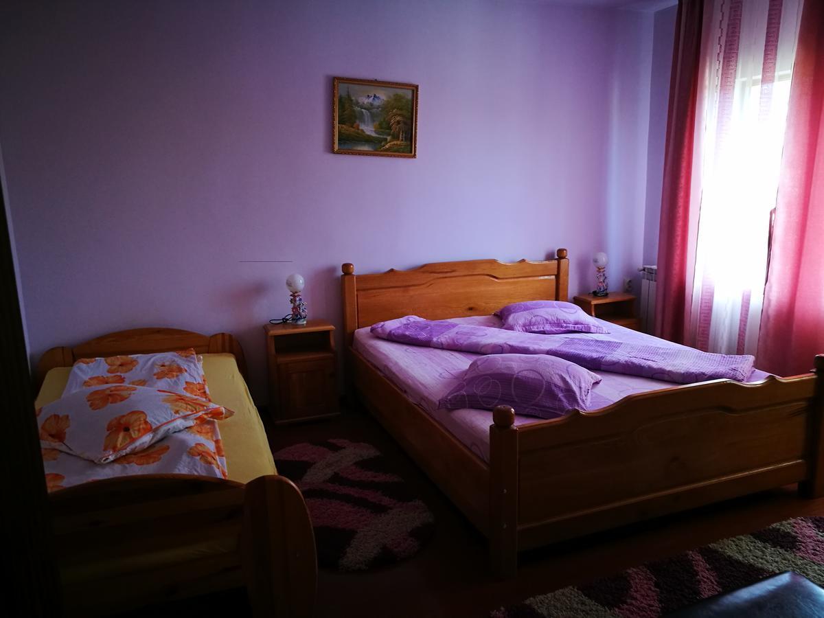 Pensiunea Ramona Cărpinişu Buitenkant foto