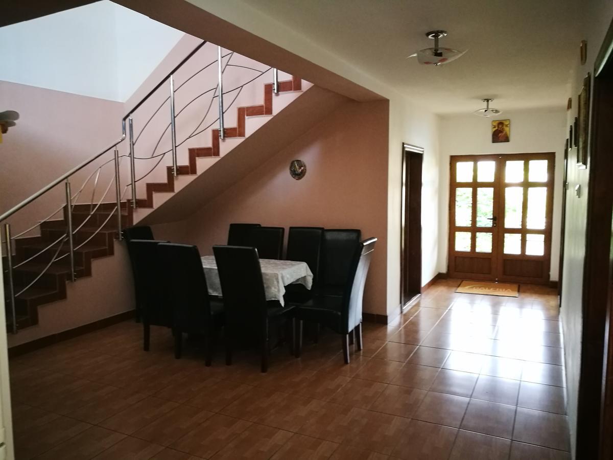 Pensiunea Ramona Cărpinişu Buitenkant foto