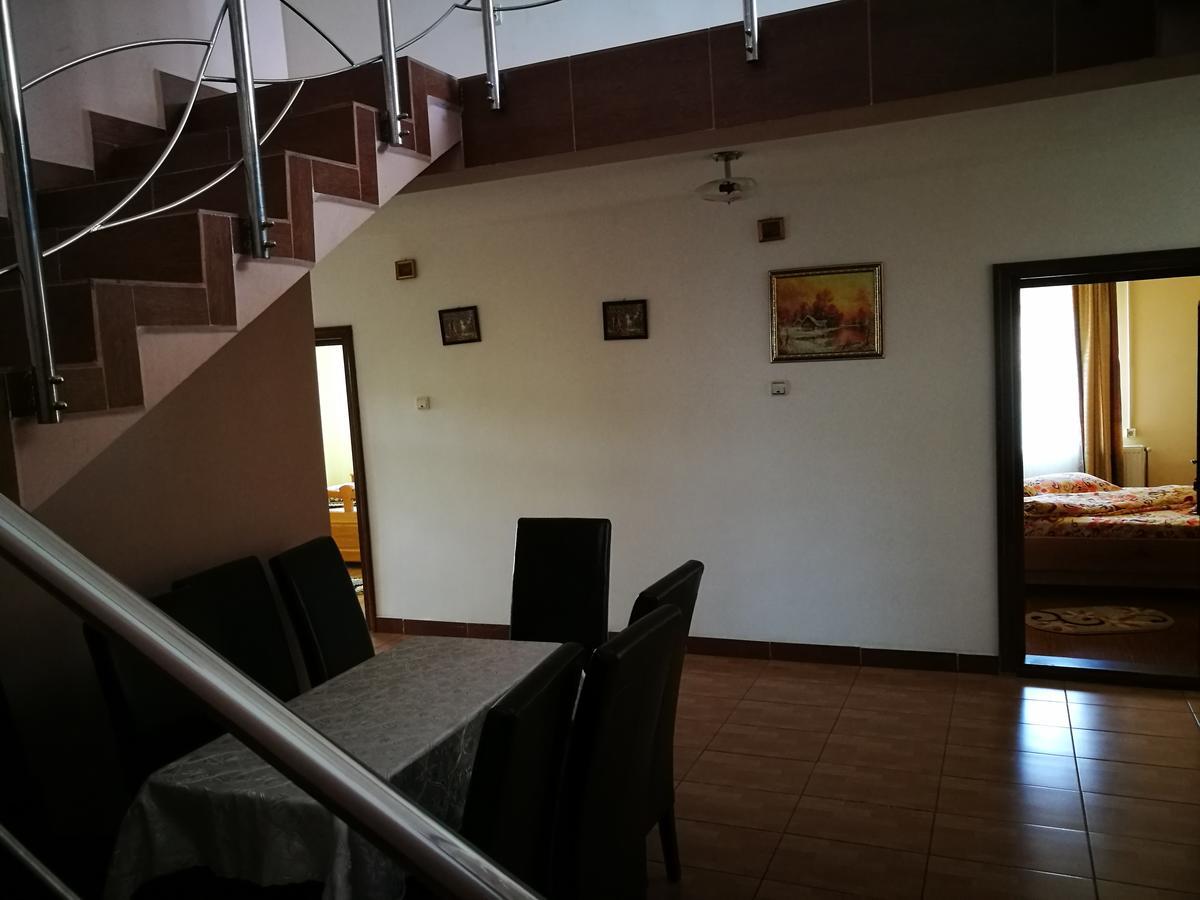 Pensiunea Ramona Cărpinişu Buitenkant foto