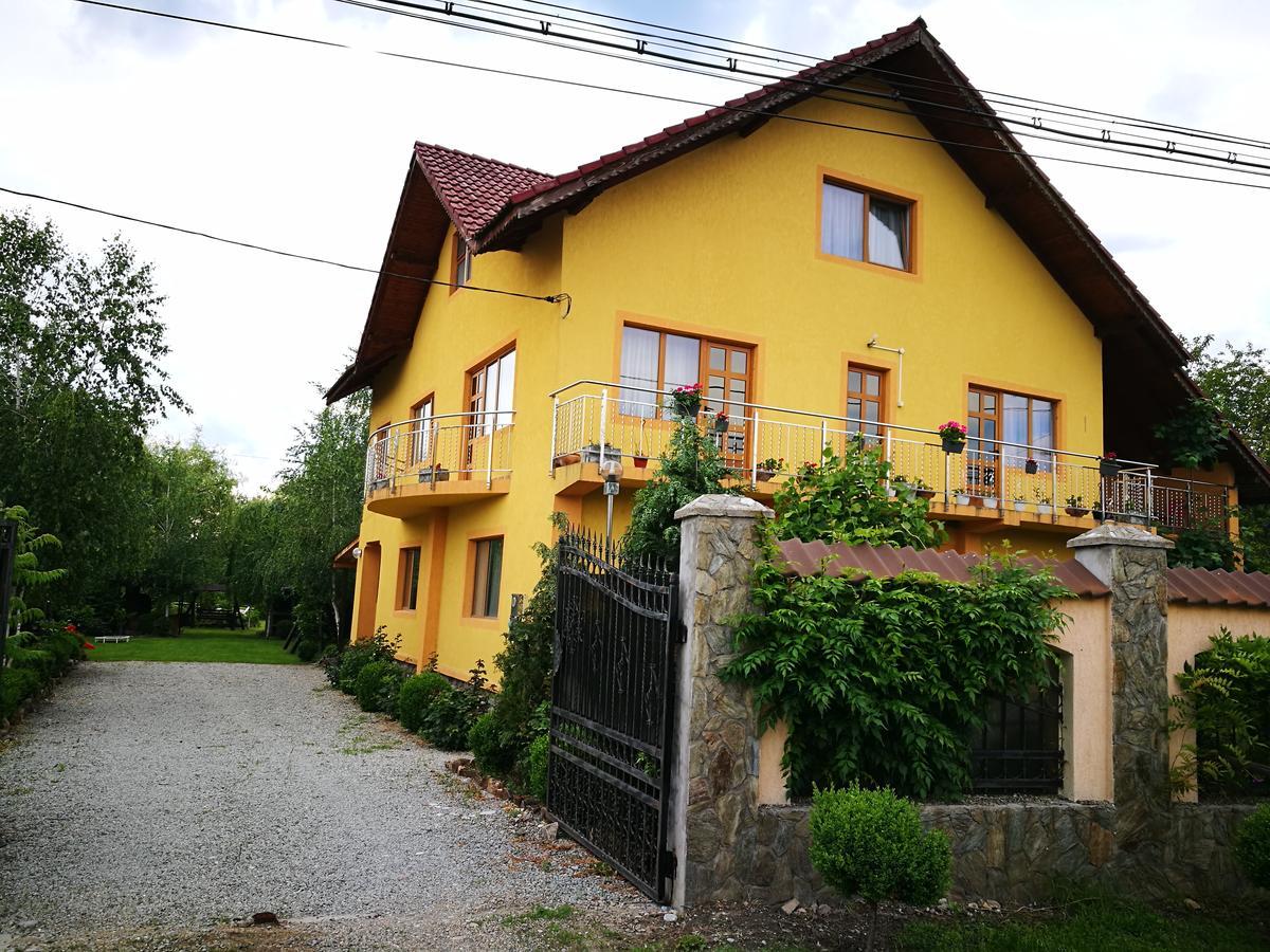Pensiunea Ramona Cărpinişu Buitenkant foto