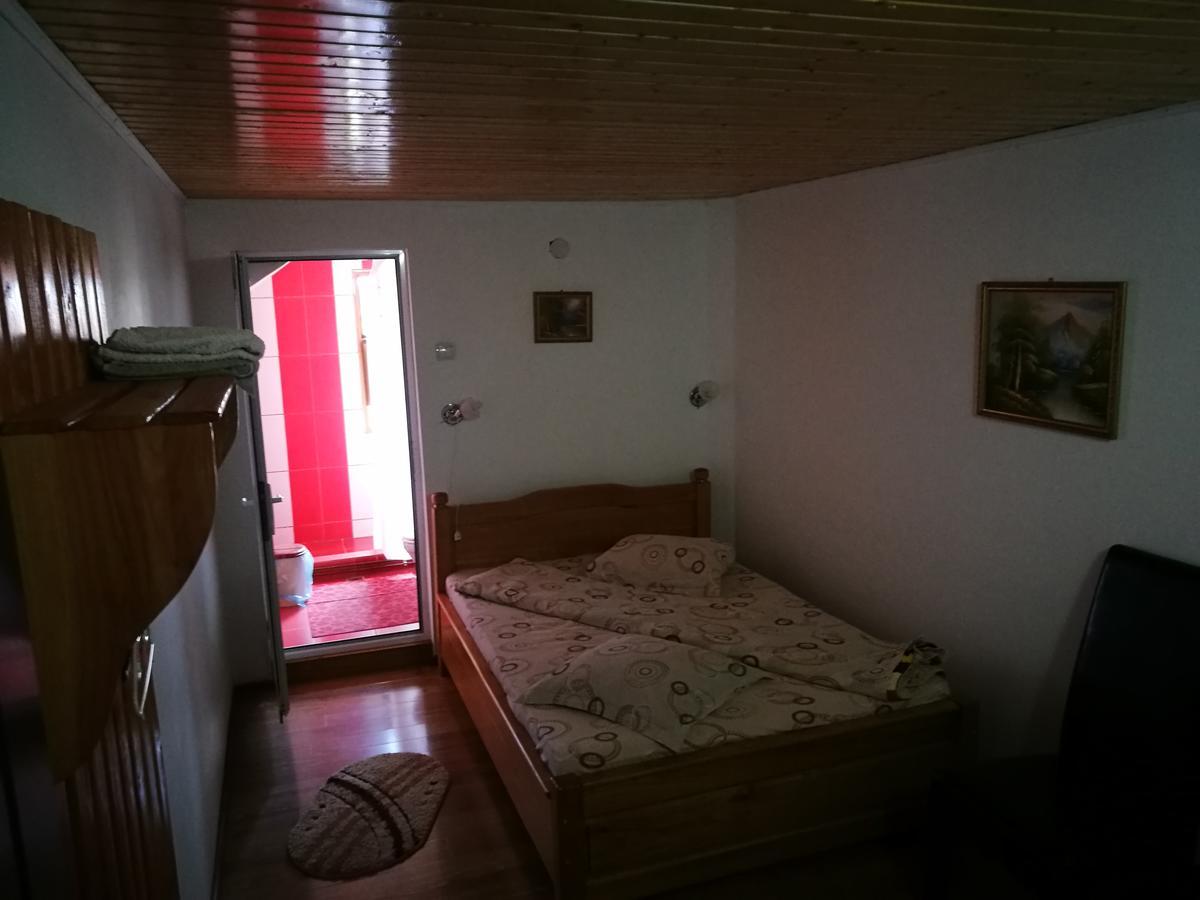 Pensiunea Ramona Cărpinişu Buitenkant foto