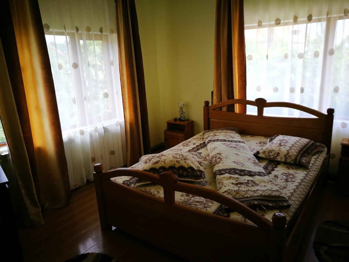 Pensiunea Ramona Cărpinişu Buitenkant foto