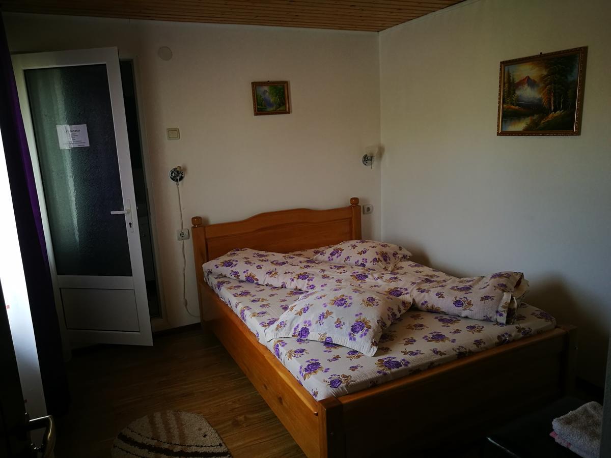 Pensiunea Ramona Cărpinişu Buitenkant foto