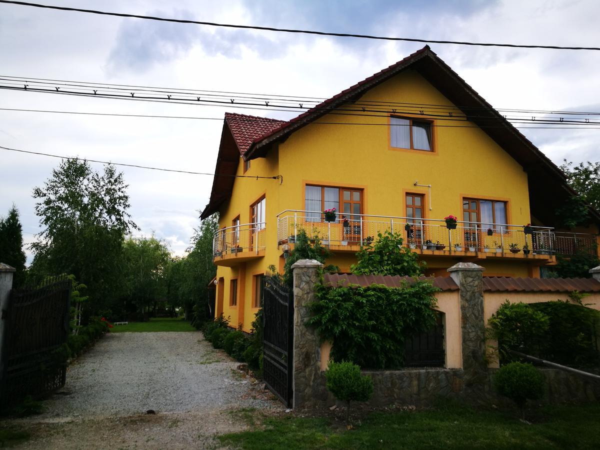 Pensiunea Ramona Cărpinişu Buitenkant foto