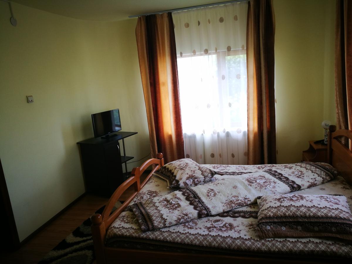 Pensiunea Ramona Cărpinişu Buitenkant foto