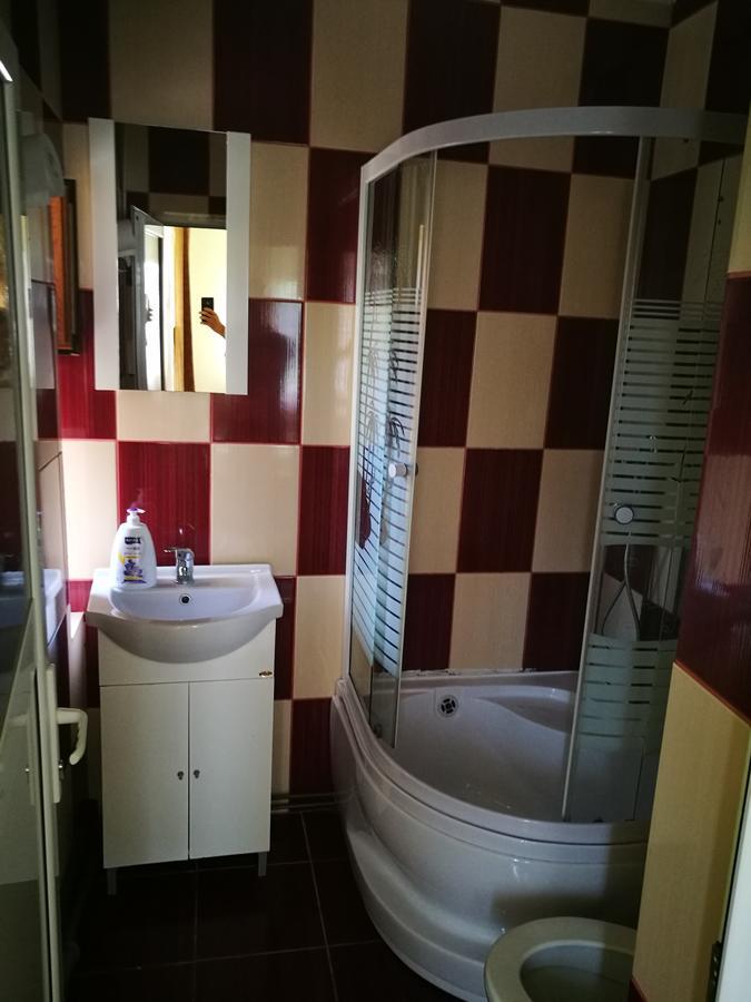 Pensiunea Ramona Cărpinişu Buitenkant foto