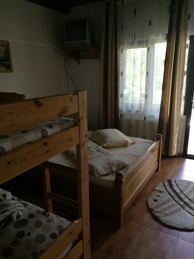 Pensiunea Ramona Cărpinişu Buitenkant foto