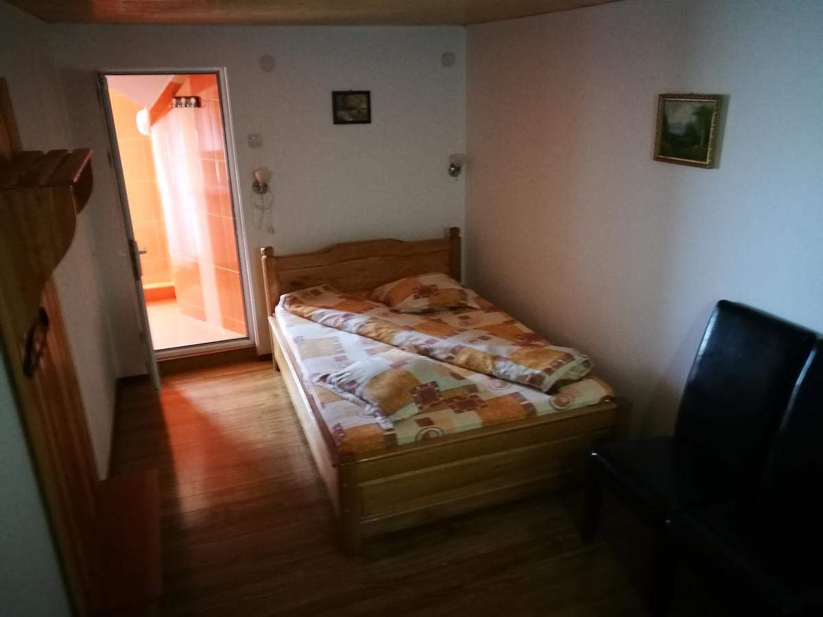 Pensiunea Ramona Cărpinişu Buitenkant foto