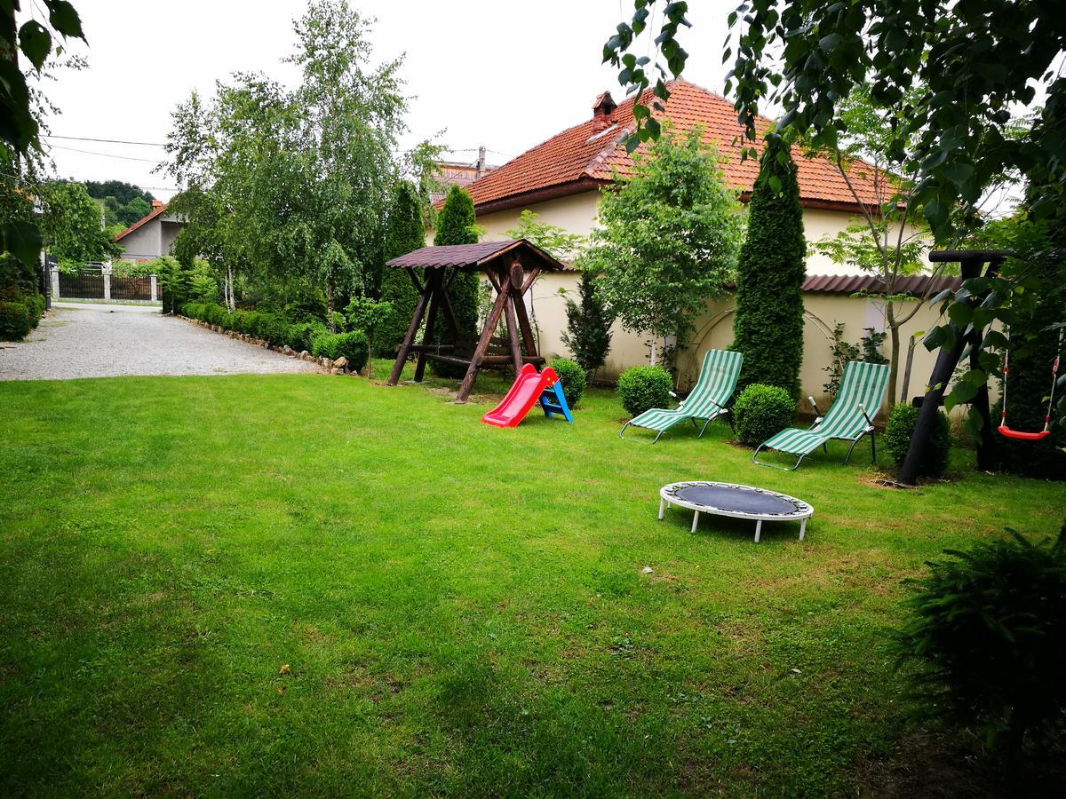 Pensiunea Ramona Cărpinişu Buitenkant foto