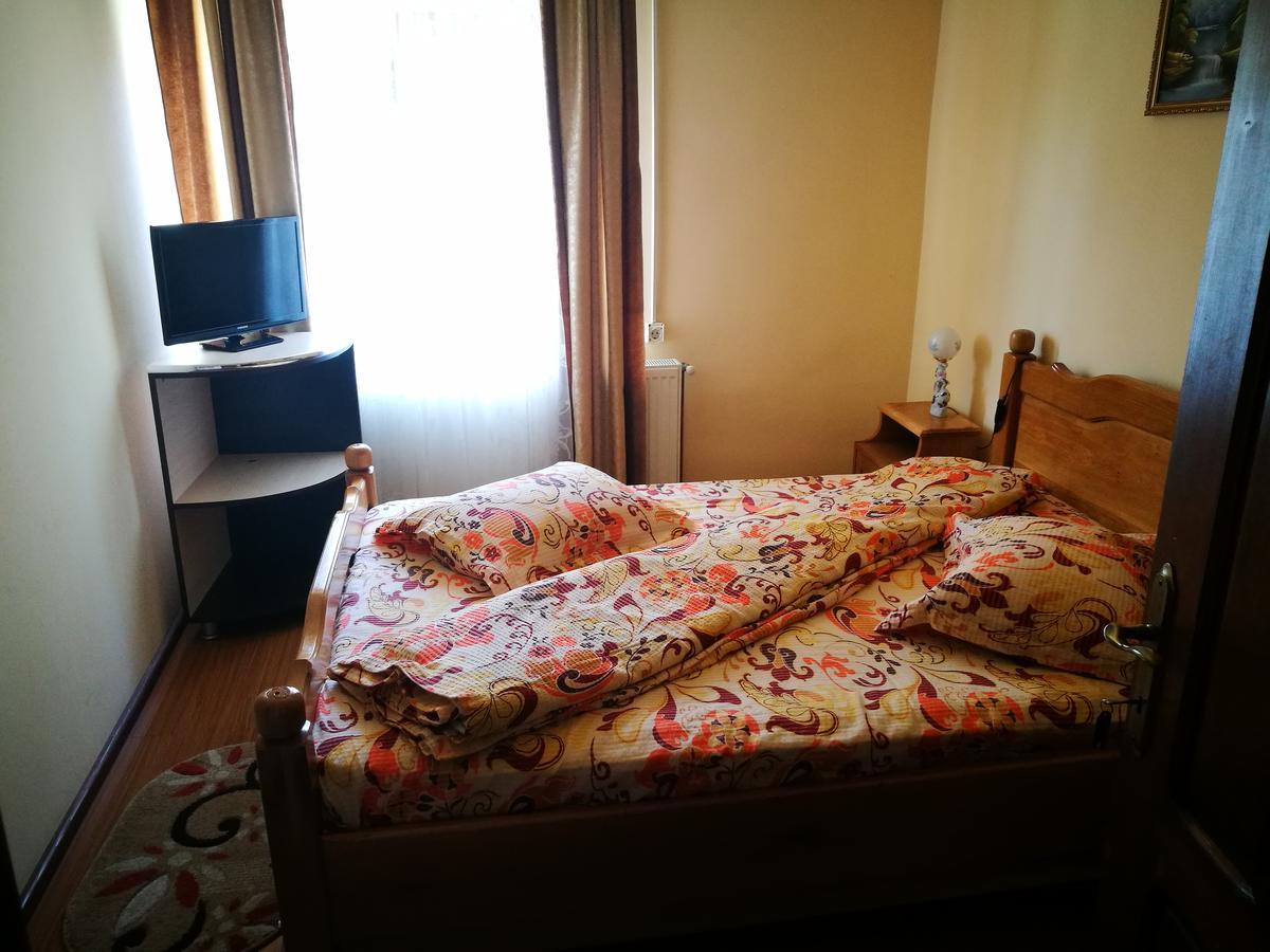 Pensiunea Ramona Cărpinişu Buitenkant foto