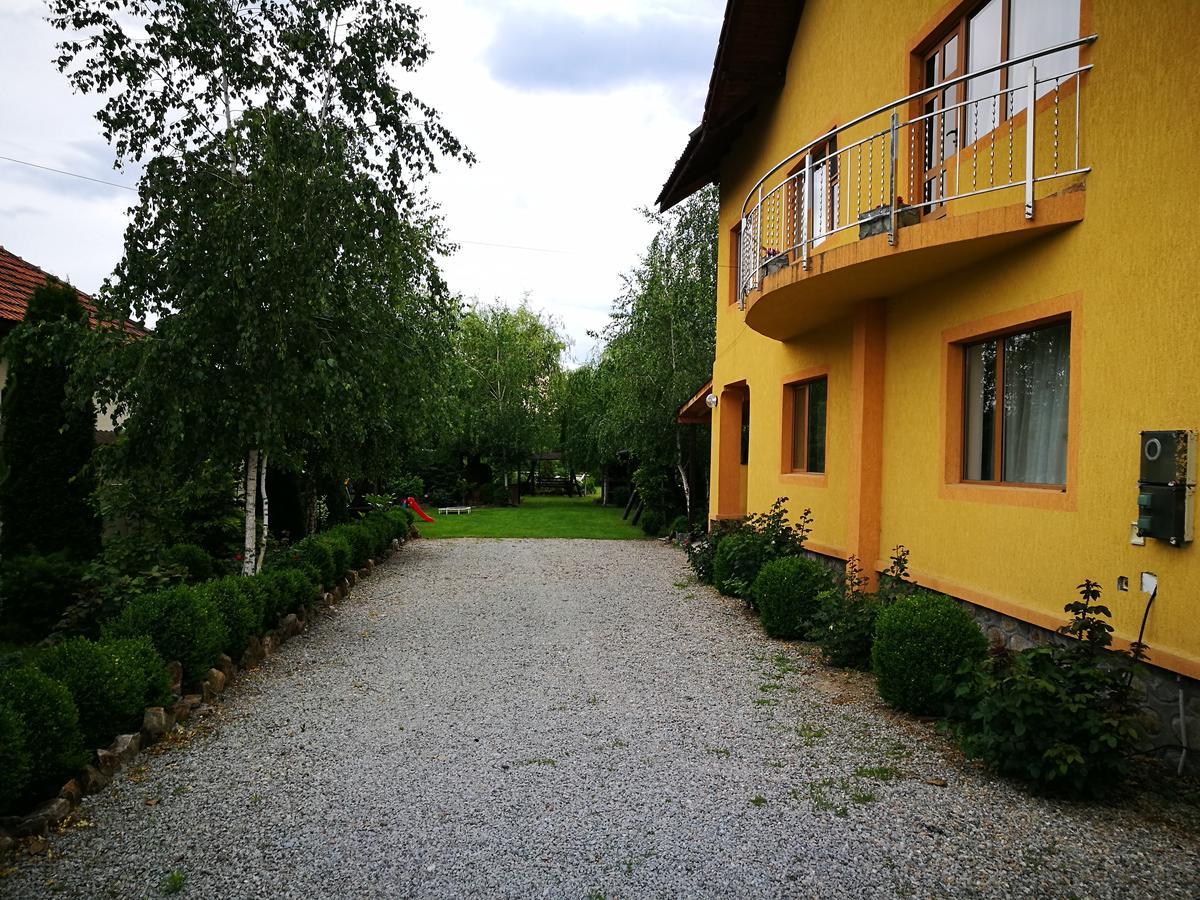 Pensiunea Ramona Cărpinişu Buitenkant foto