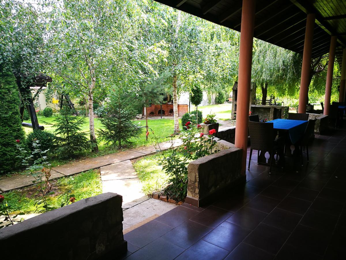Pensiunea Ramona Cărpinişu Buitenkant foto
