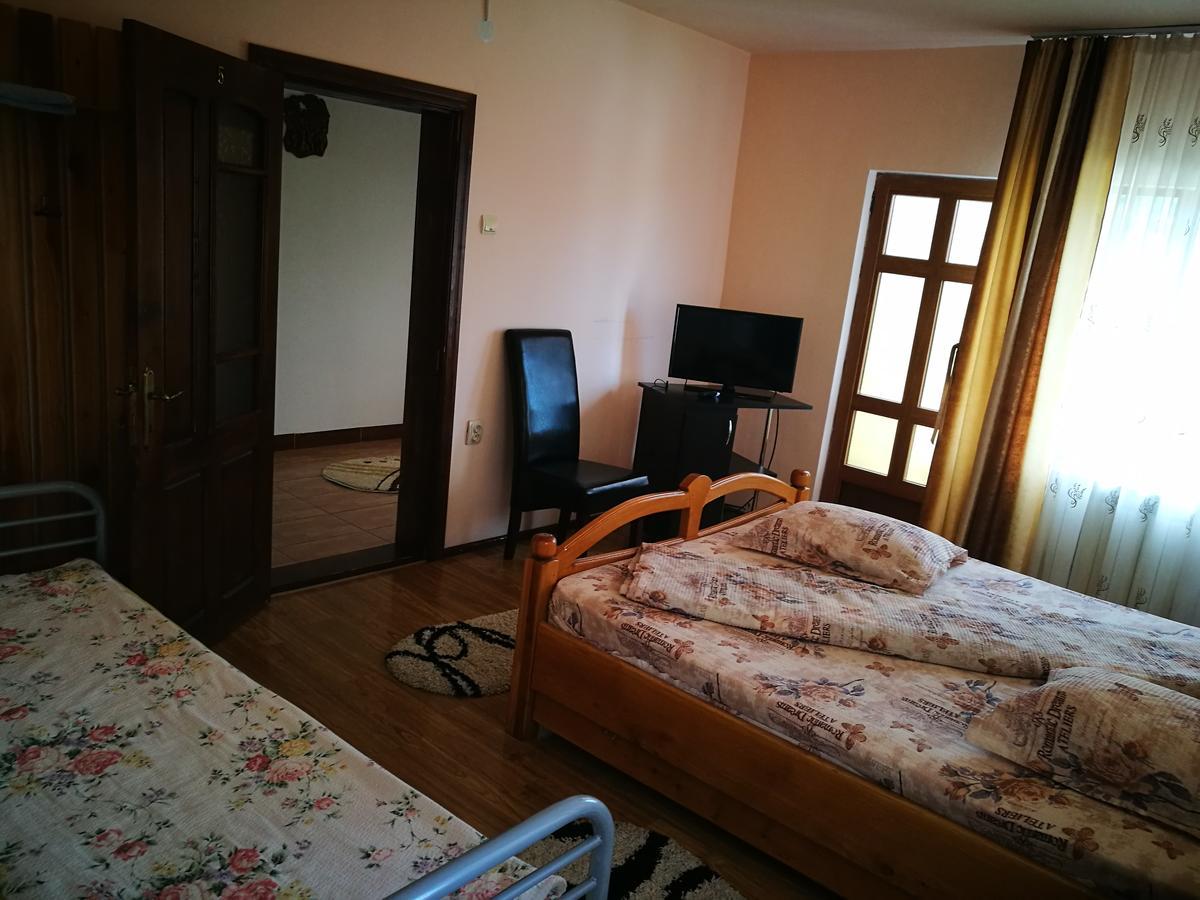 Pensiunea Ramona Cărpinişu Buitenkant foto