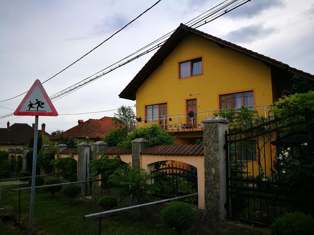 Pensiunea Ramona Cărpinişu Buitenkant foto