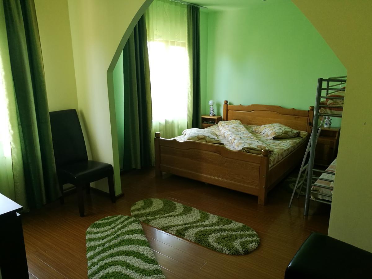 Pensiunea Ramona Cărpinişu Buitenkant foto