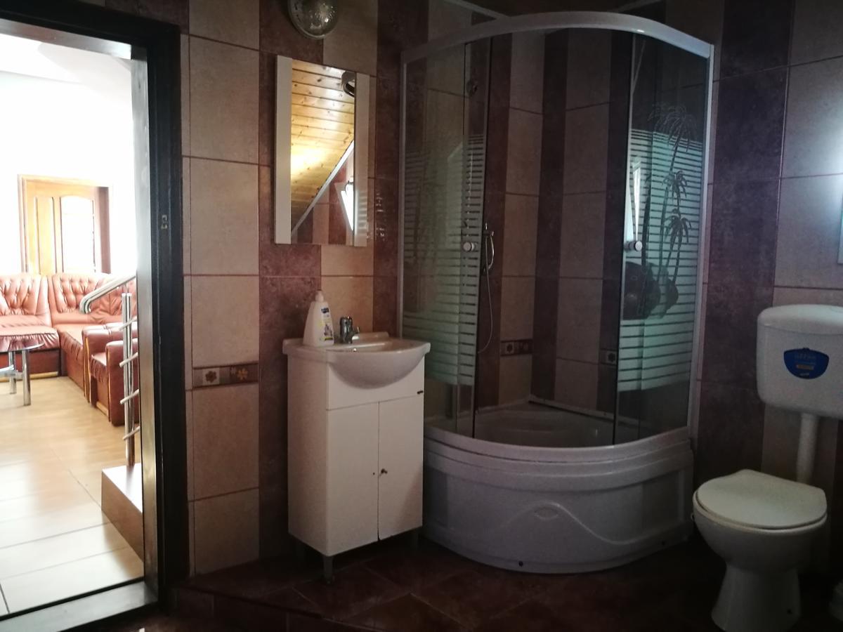 Pensiunea Ramona Cărpinişu Buitenkant foto