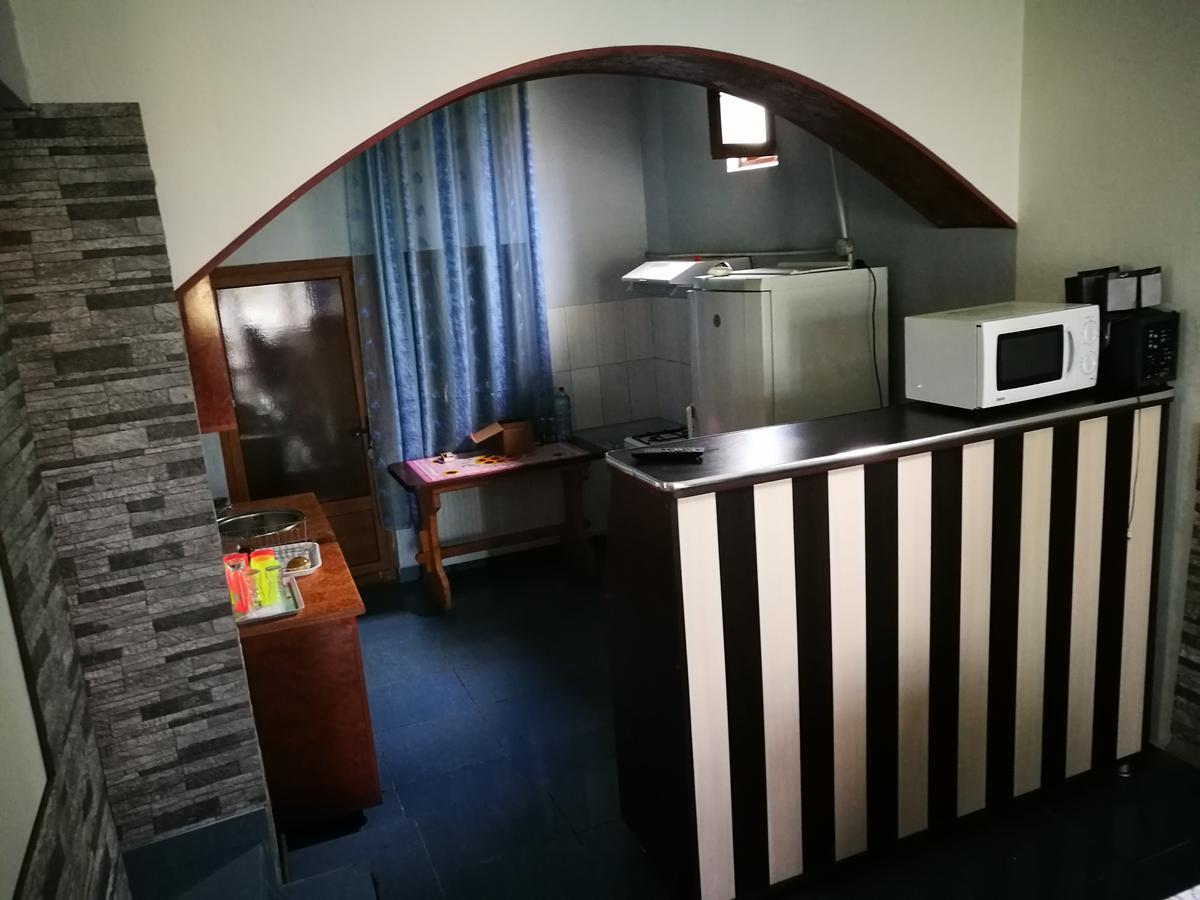 Pensiunea Ramona Cărpinişu Buitenkant foto