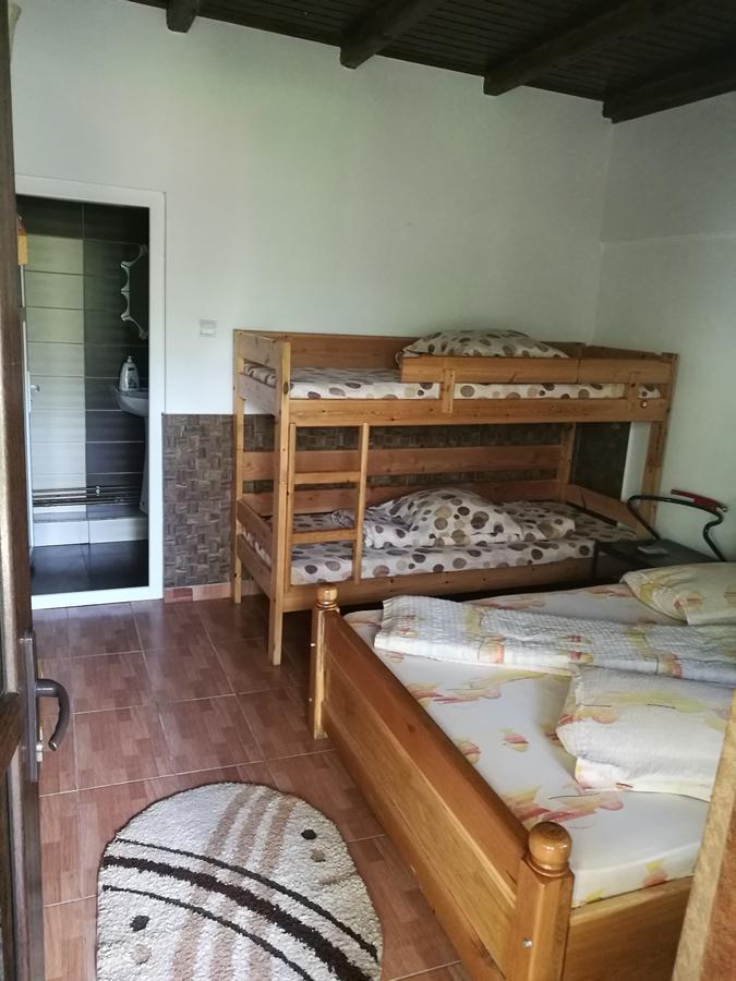 Pensiunea Ramona Cărpinişu Buitenkant foto